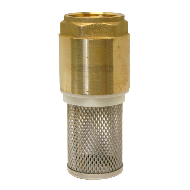 2 1/2" Brass Spring Check Valve & Strainer VS2290