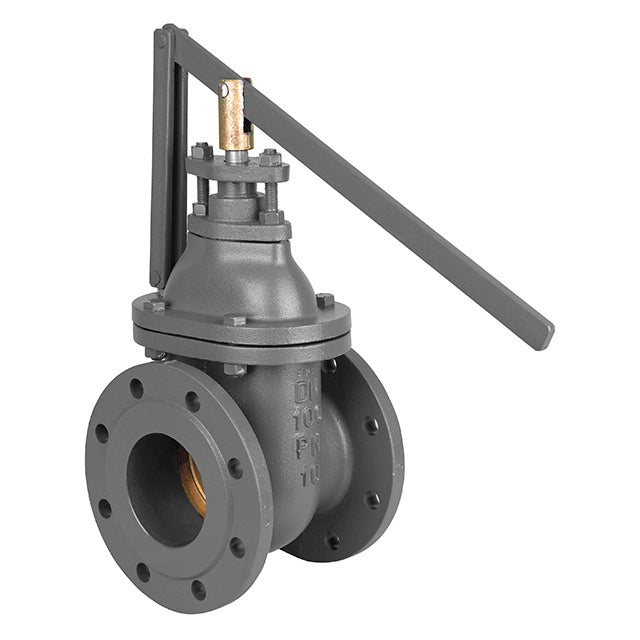 2" MP Cast Iron Gate Valve Flanged PN16 Quick Closing VS 5119