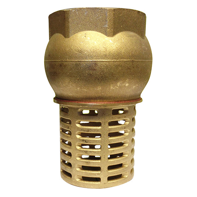 2 1/2" Brass Foot Valve & Strainer  VS2350