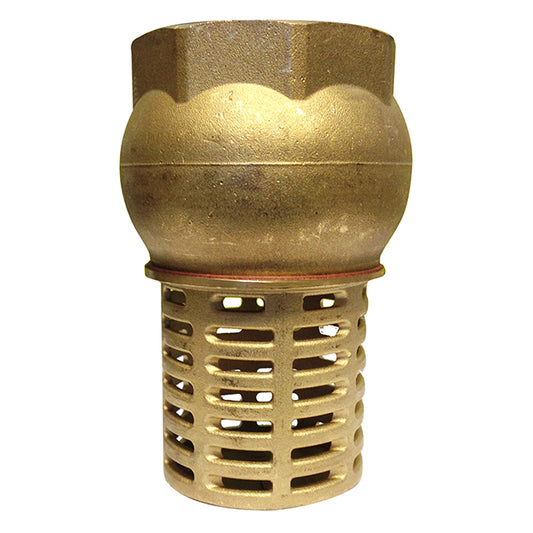 2 1 2 brass foot valve strainer lv2350
