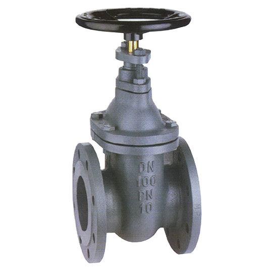 2 1/2" MP Cast Iron Gate Valve Flanged PN6. VS5102