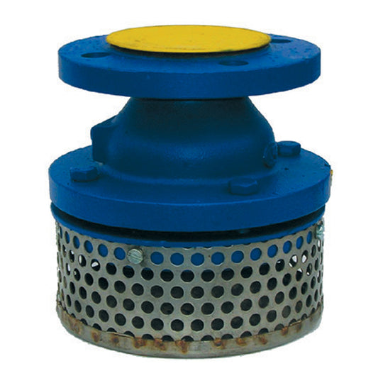 2" Zetkama Foot Valve & Strainer Flanged PN10. VS5180