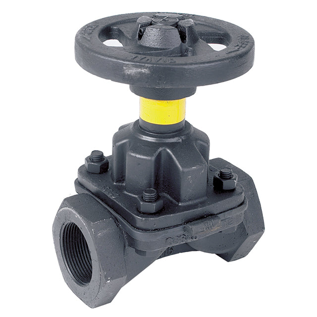 1 2 weir type diaphragm valve unlined screwed bspp lv5852