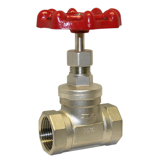 2" Valtec Stainless Steel Globe Valve Screwed BSPP. VS6700