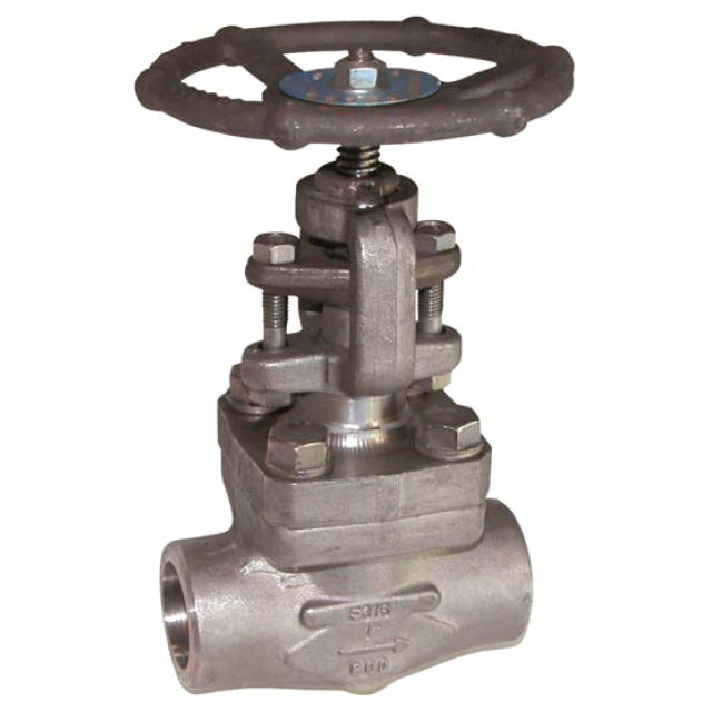 2 forged stainless steel globe valve screwed bspt lv6715