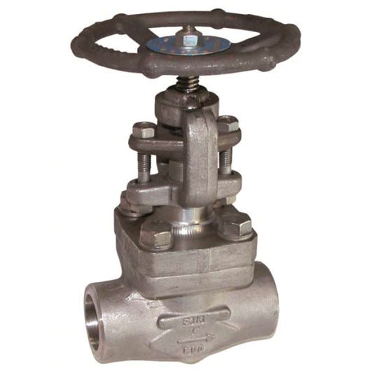 1 forged stainless steel globe valve screwed bspt lv6715