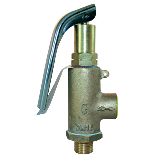 3/4" Gresswell Bronze High Lift Relief Valve. 0.2-21 Pressure Range (bar) VG100